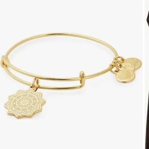 Alex and Ani chakra bracelet